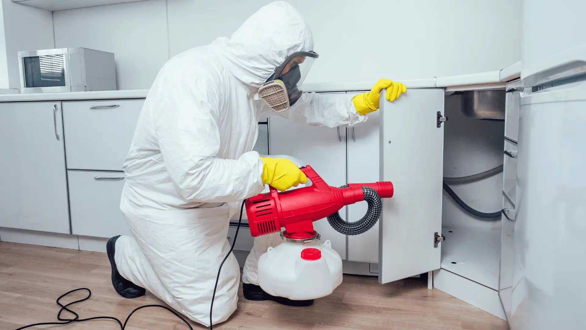 Equipe Construtech aplicando dedetização